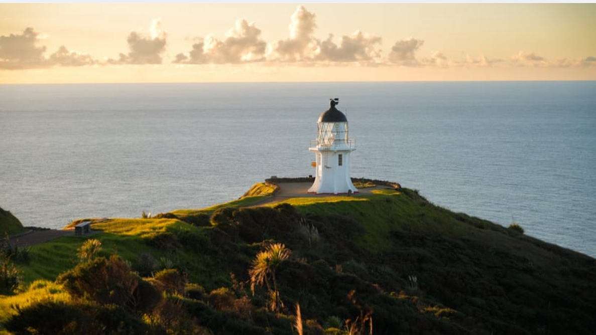 Moving To New Zealand