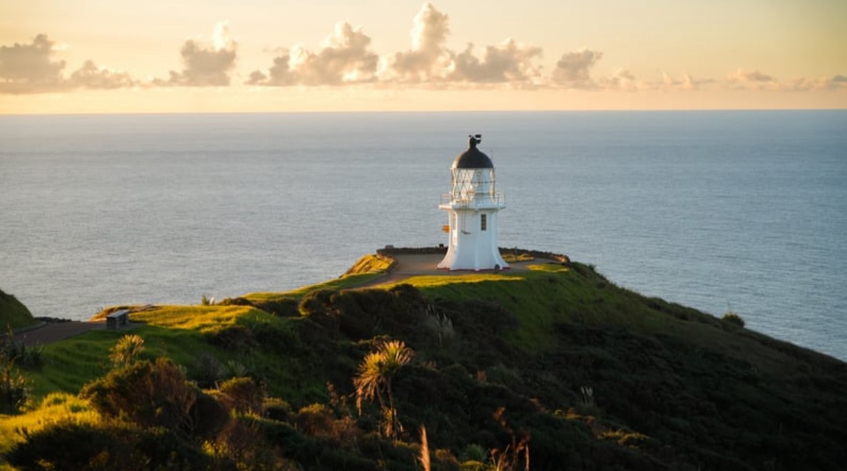 Moving to New Zealand
